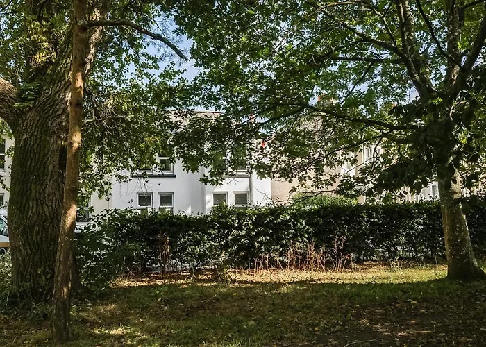 Park View House Close To Central Park And Plymouth Argyle Fc - Dogs Welcome - Hosted By Absolute Accommodation Plymouth