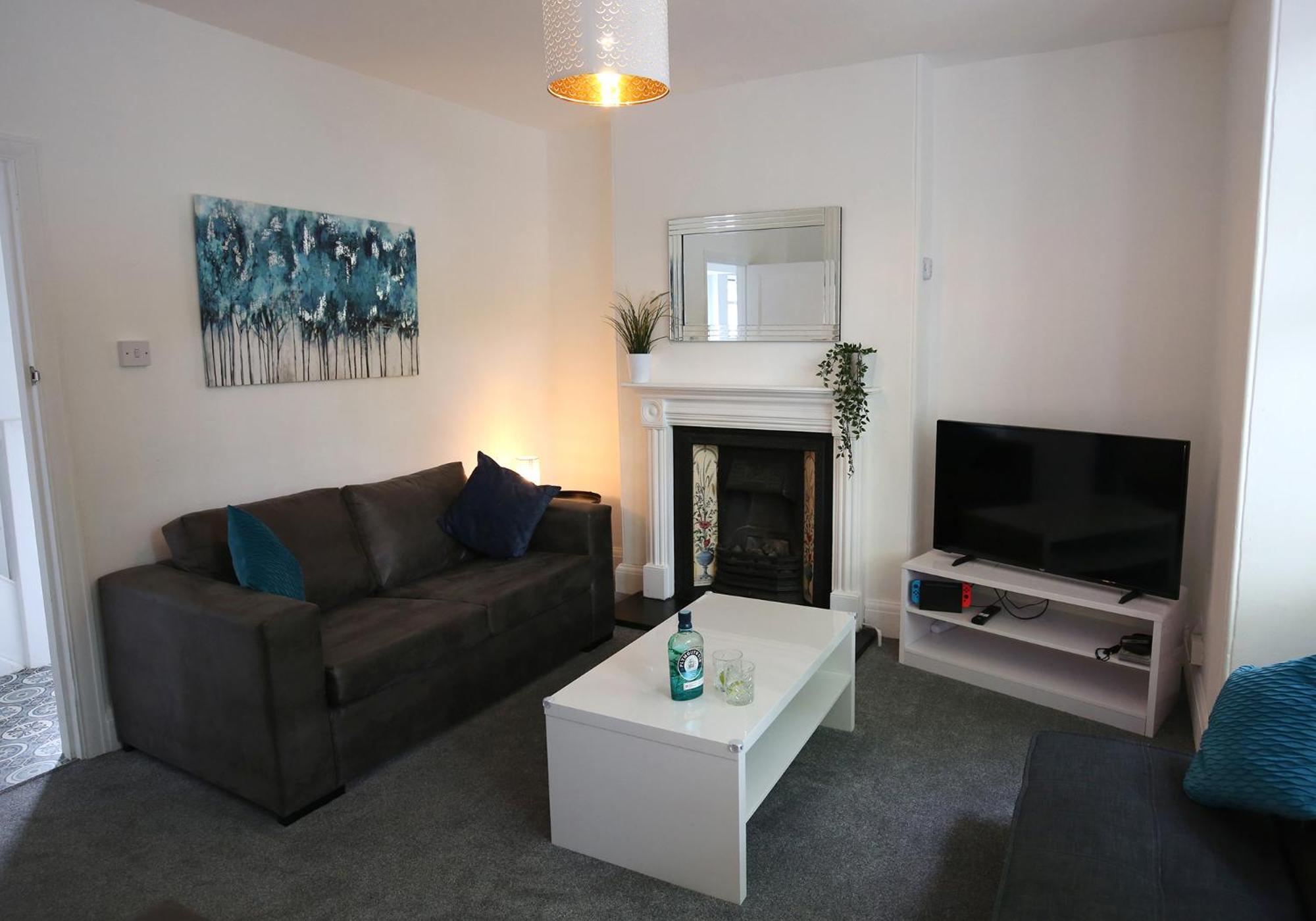 Park View House Close To Park And Argyle Fc - Dogs Welcome - Hosted By Absolute Plymouth