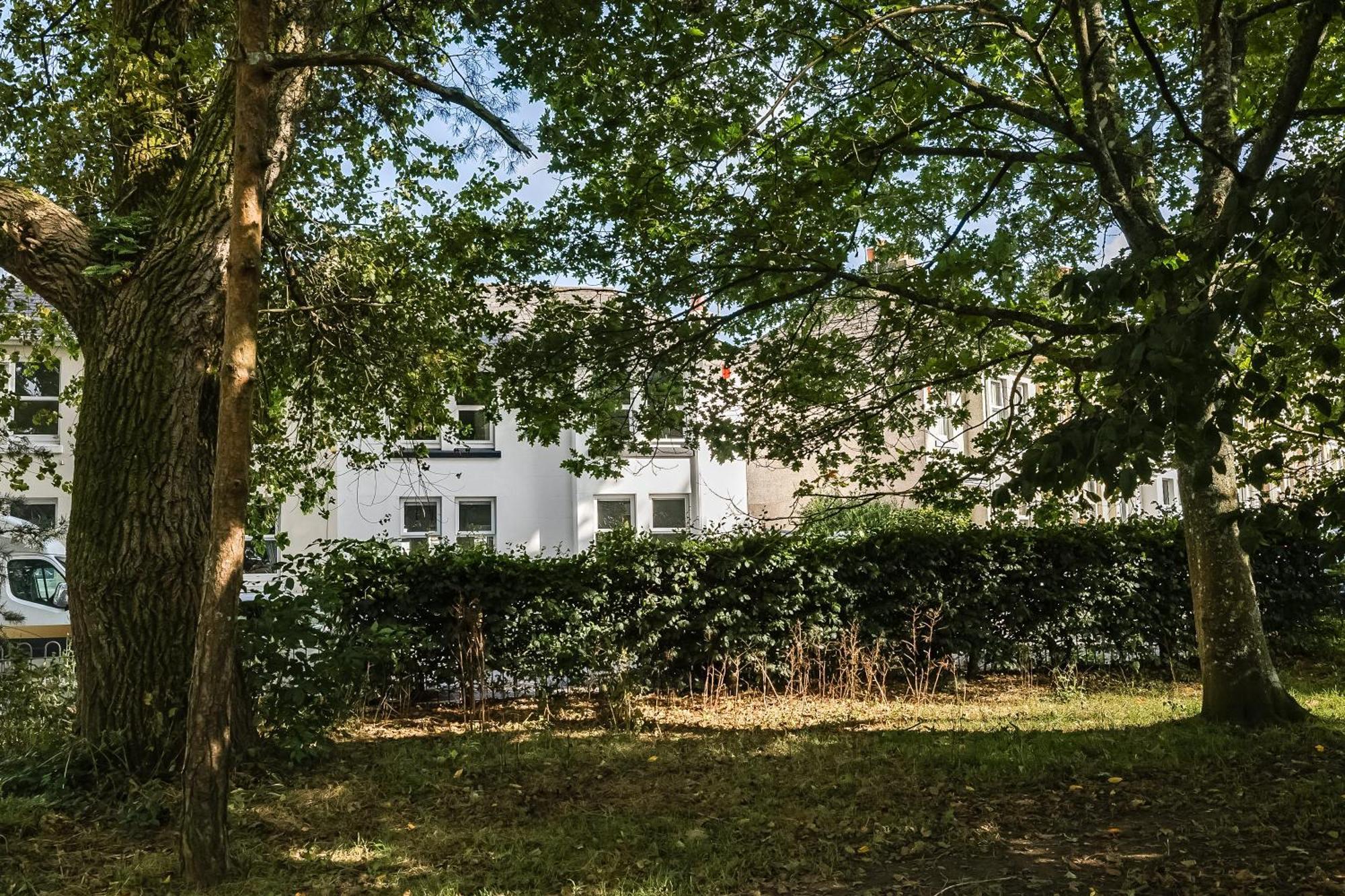 Park View House Close To Park And Argyle Fc - Dogs Welcome - Hosted By Absolute